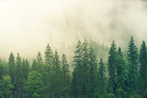 难以割舍的那段感情说说