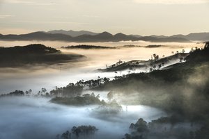哈尔滨跨国婚姻数量排名