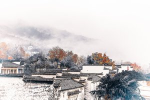 感情私密性